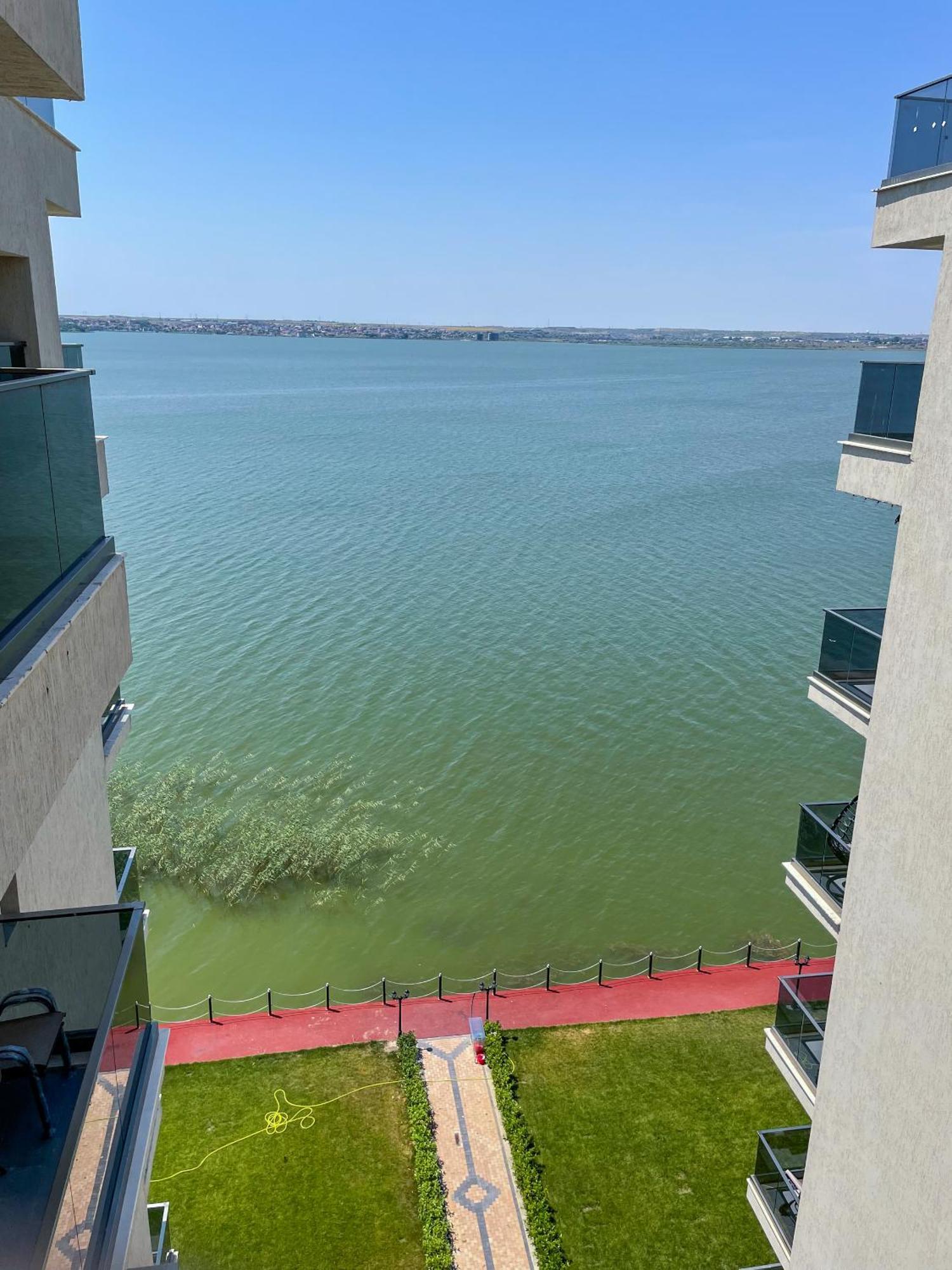 Azure Sea Apartments - Bychoice Mamaia Pokoj fotografie